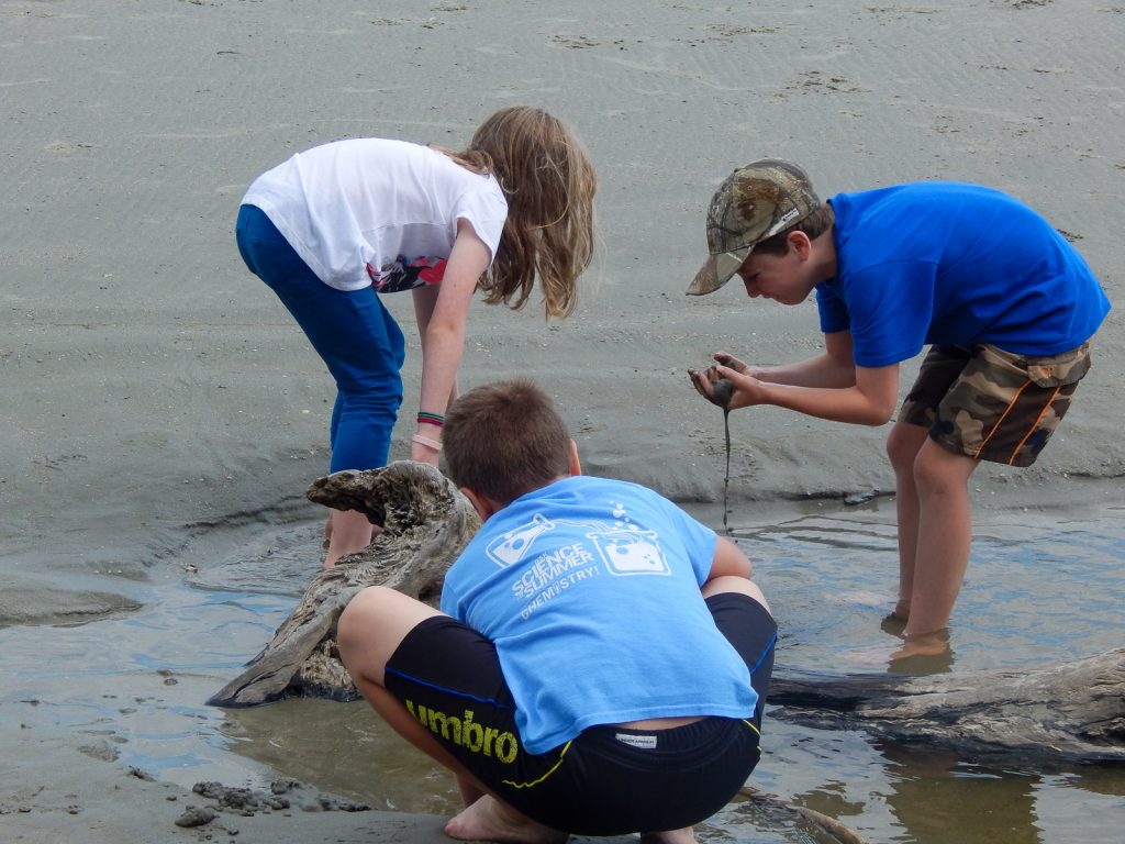 Barrier Island Adventure Carolina Homeschooler