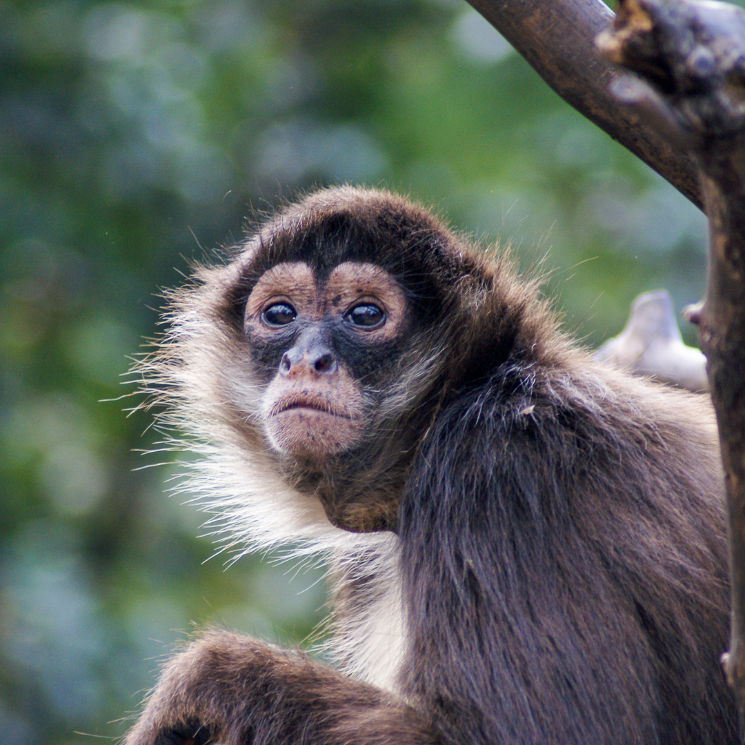 We pride ourselves in offering the best experiences for you and your family. Bee City Zoo Carolina Homeschooler