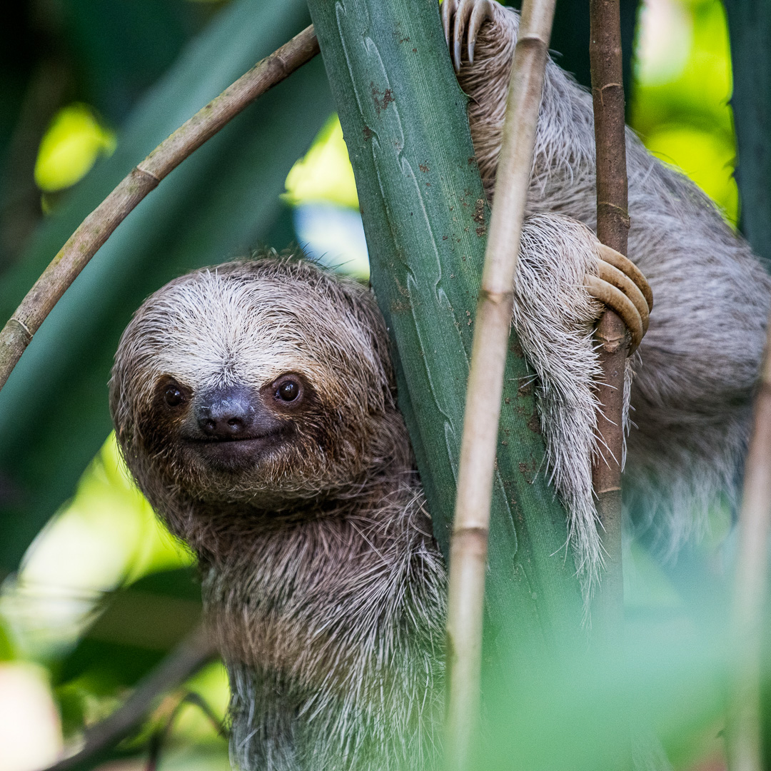 We pride ourselves in producing quality. Classes & Field Trips Carolina Homeschooler