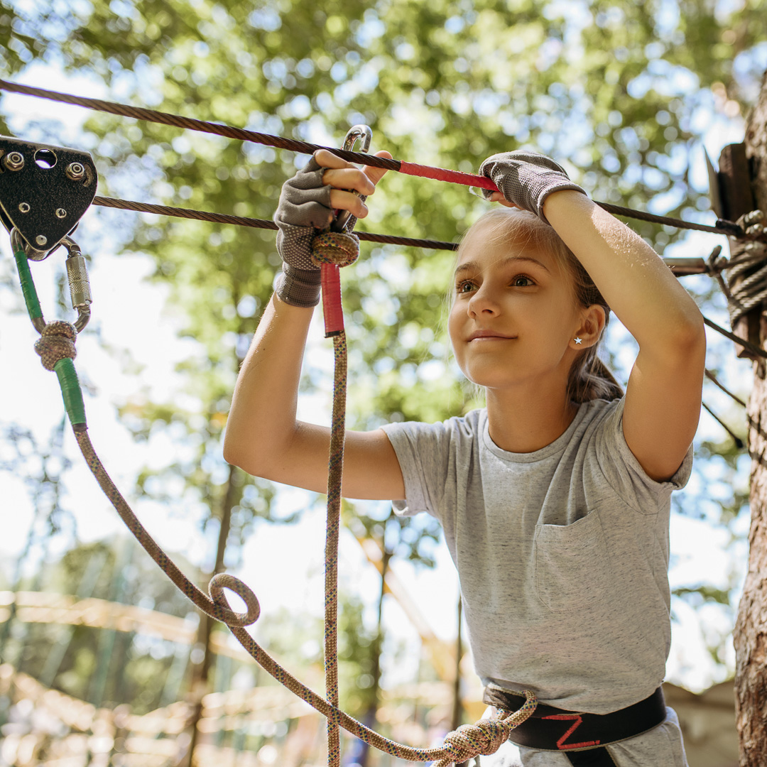 Zipline